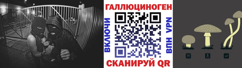 Псилоцибиновые грибы MAGIC MUSHROOMS  Кущёвская 